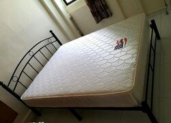 Blk 269 Tampines Street 21 (Tampines), HDB 3 Rooms #346279151